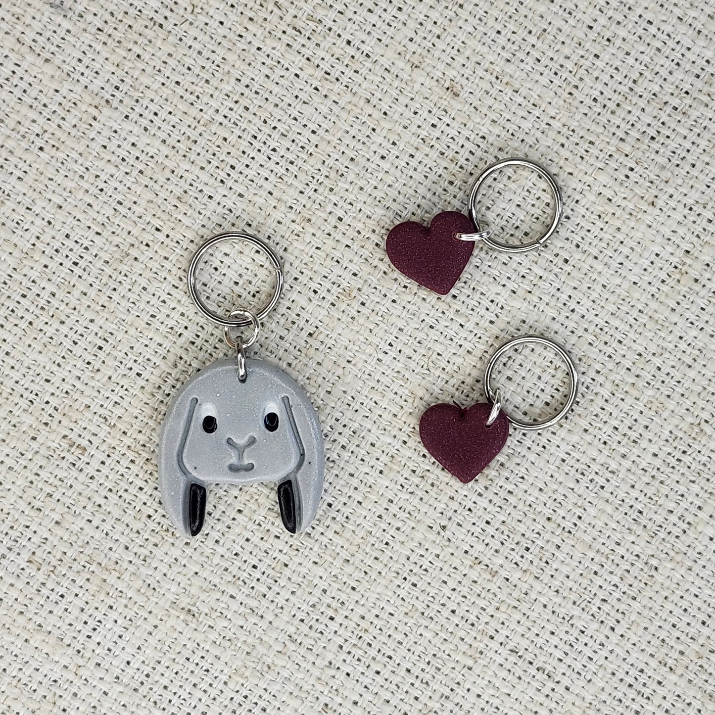 Lapin gris