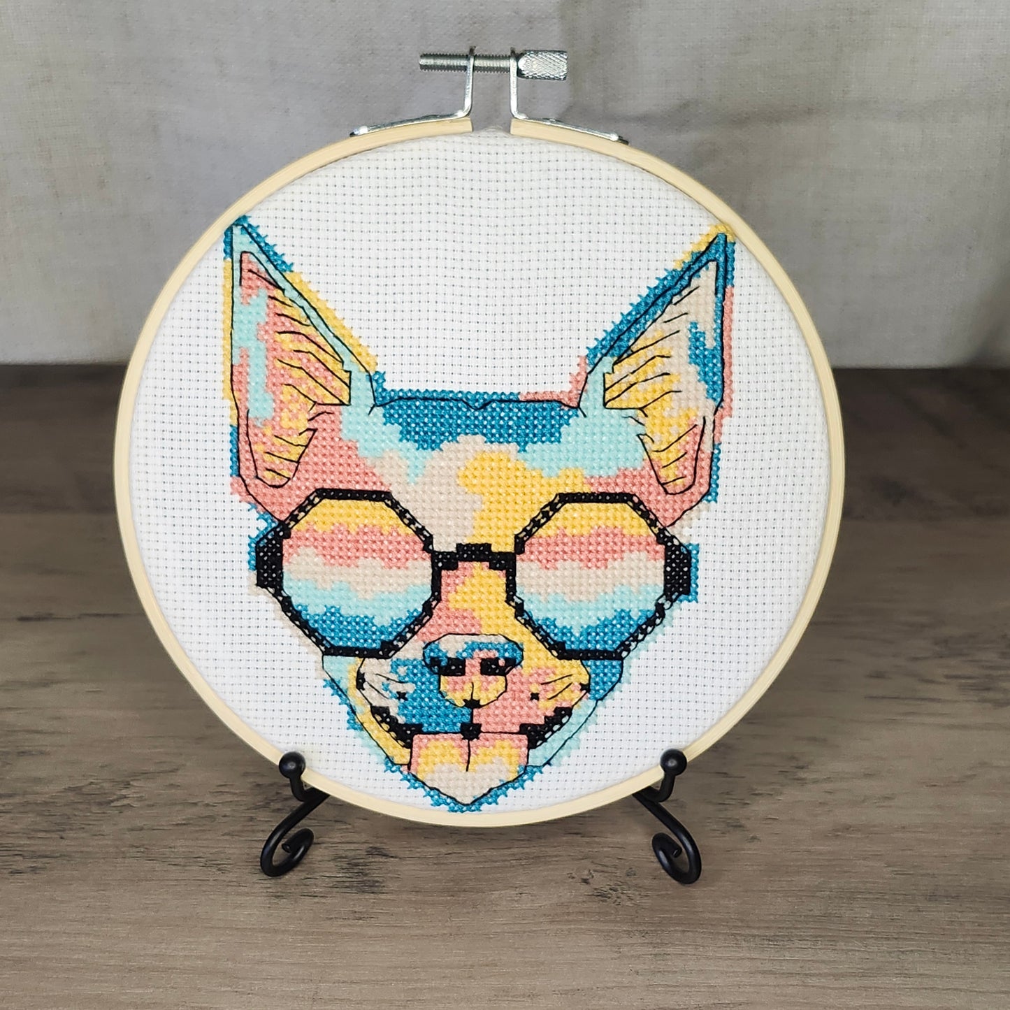 Chihuahua turquoise