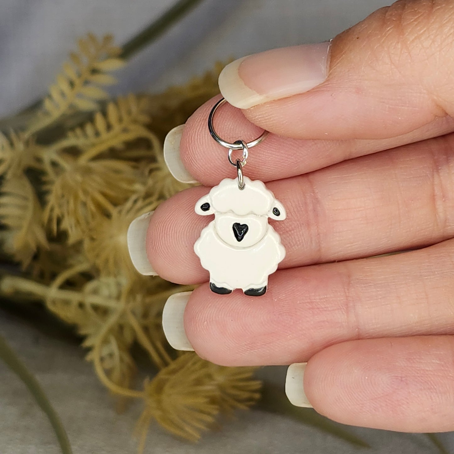 Mouton blanc de face