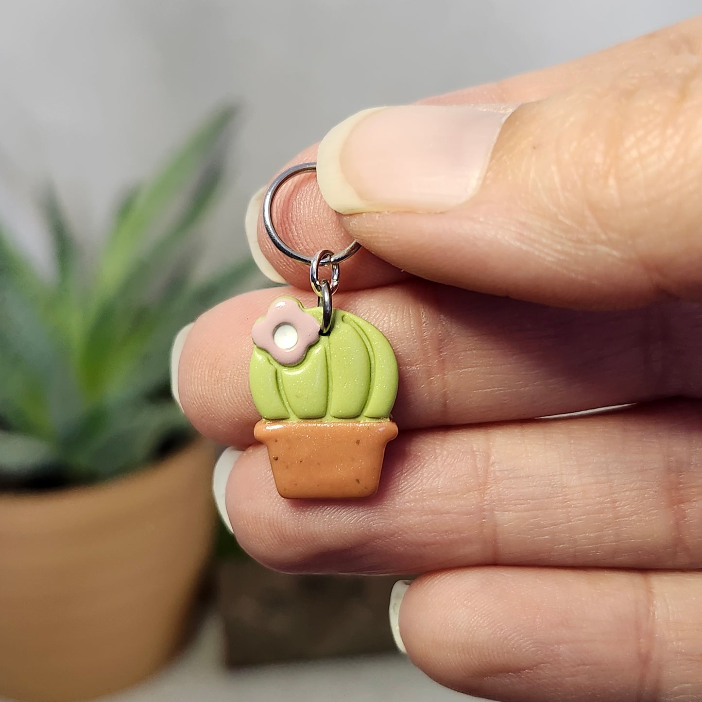 Cactus avec petite fleur